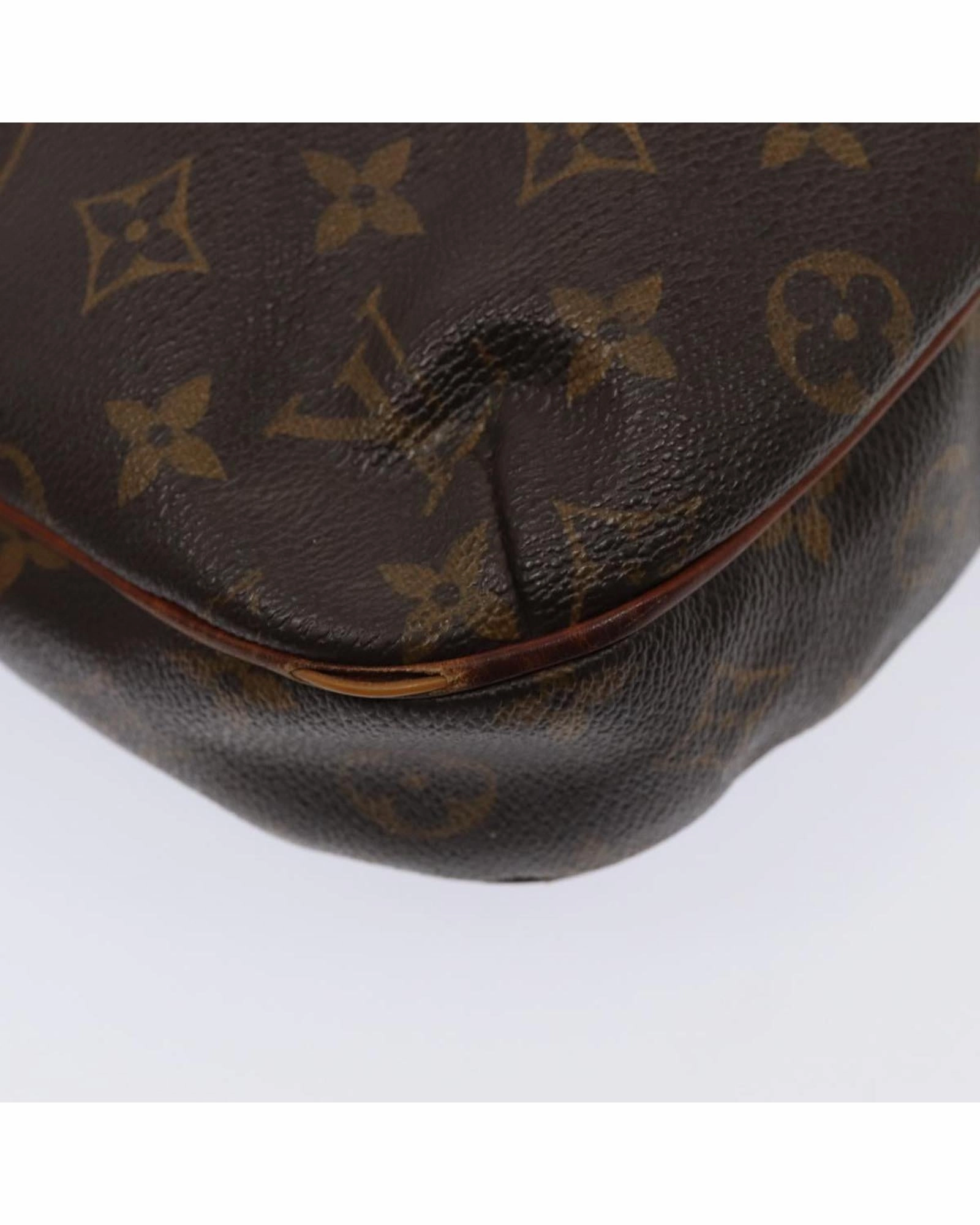 Monogram Canvas Shoulder Bag Crossbody Style
