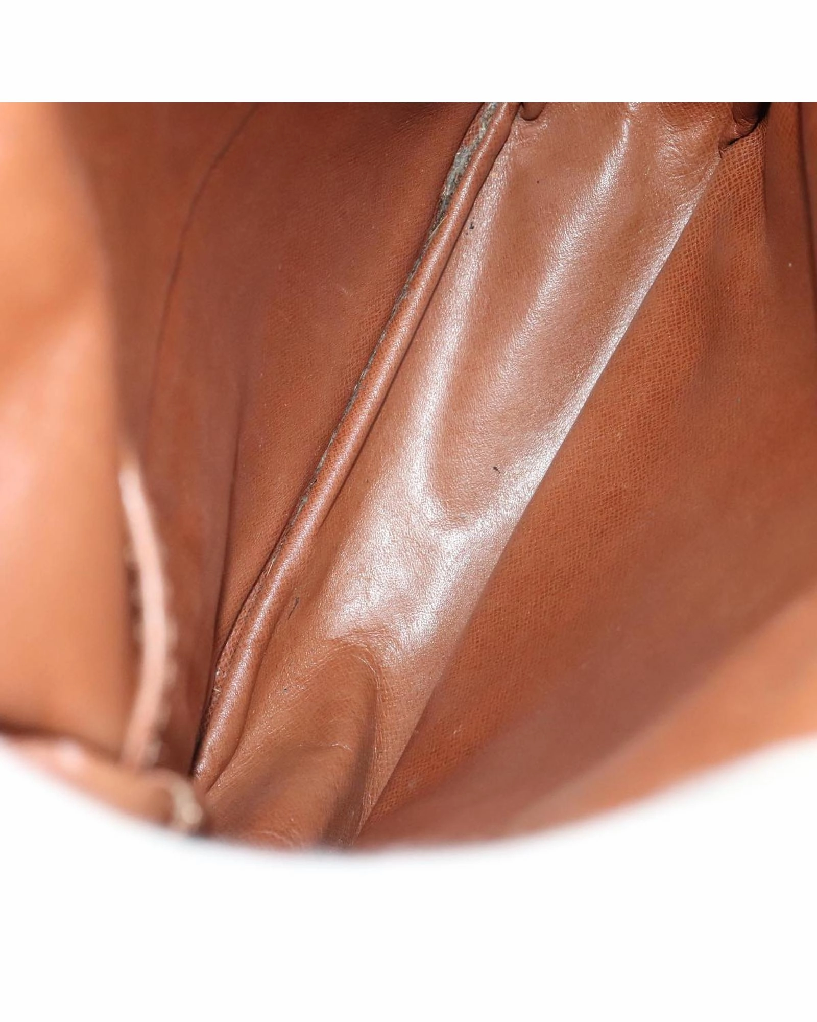 Monogram Danube MM Shoulder Bag