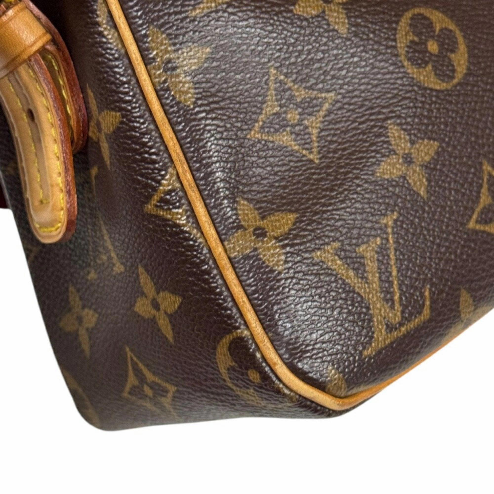 Monogram Pochette Crossbody Bag