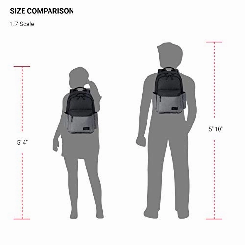 SWISSGEAR 2789 Laptop Backpack, Fits 13 Inch Laptop - Grey/Black