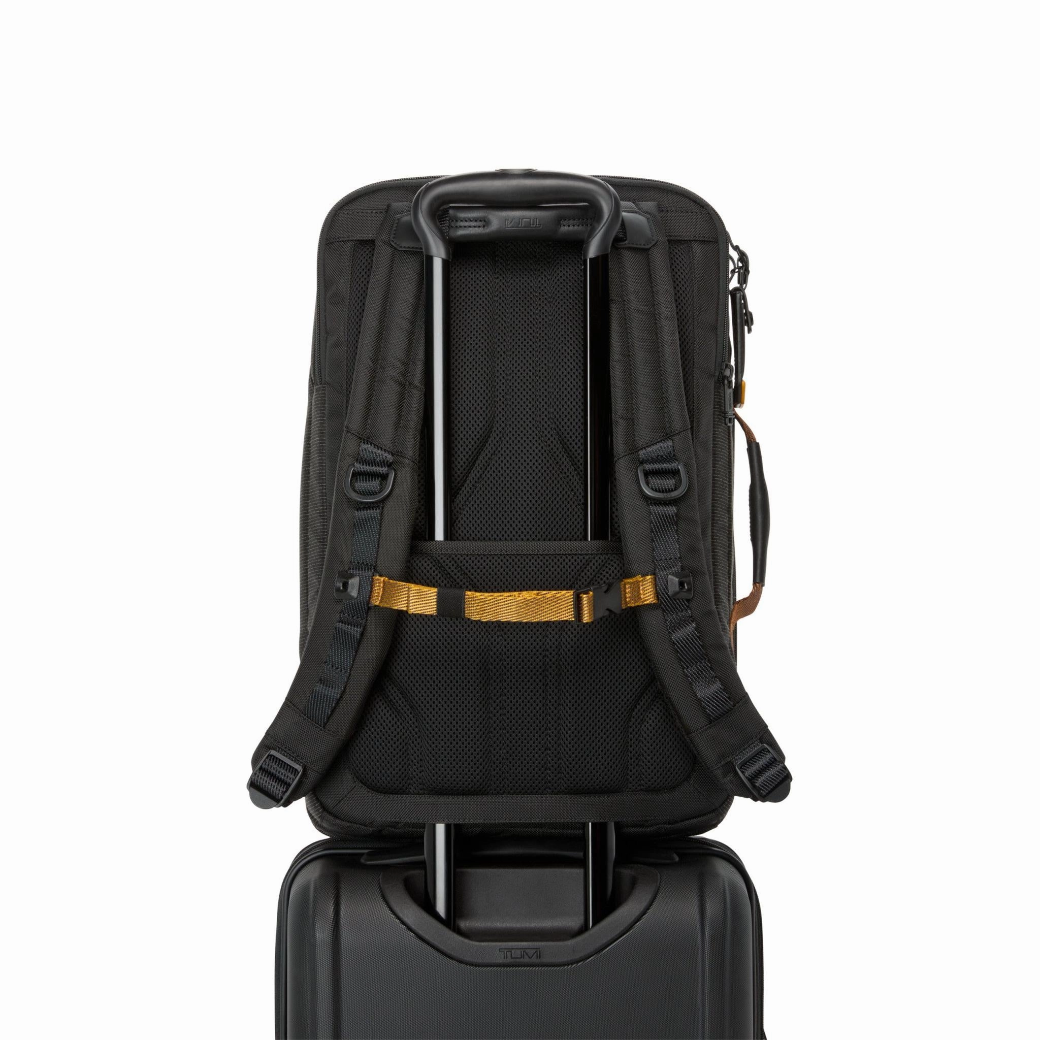 TUMI Alpha Bravo Detrick Backpack